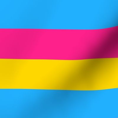 Pansexual 2" Horizontal Stripes Medium