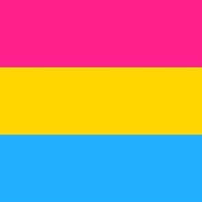 Pansexual 2" Horizontal Stripes Medium