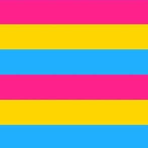 Pansexual 1" Horizontal Stripes Small