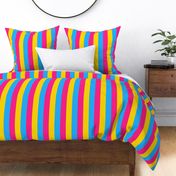 Pansexual 2" Vertical Stripes Medium