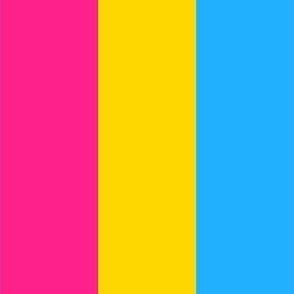 Pansexual 2" Vertical Stripes Medium