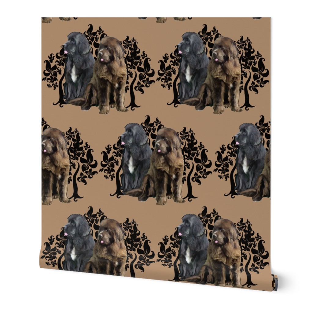 brown and black Newfoundland dog fabric