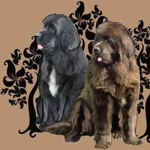 brown and black Newfoundland dog fabric