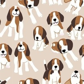 Beagle dog on beige 