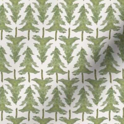 medium evergreen tree winter on cream