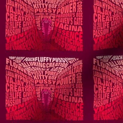 Vulva Power Wordle Art