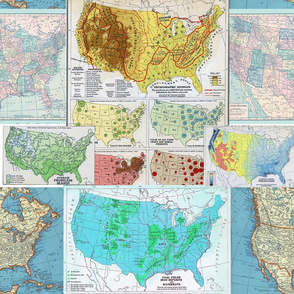 United States Maps