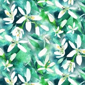 Watercolor Blossoms |Orange Tree Flowers|Renee Davis