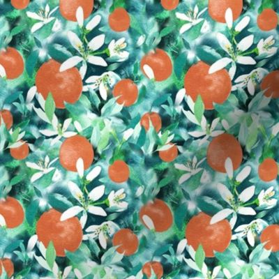 Orange Tree|Oranges and Blossoms|Renee Davis