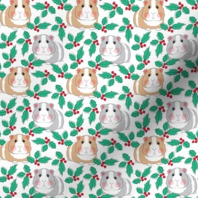 small guinea pigs and holly