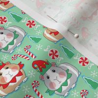 small elf guinea pigs on mint green