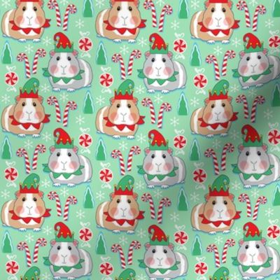 small elf guinea pigs on mint green