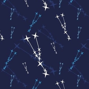 Taurus Constellation