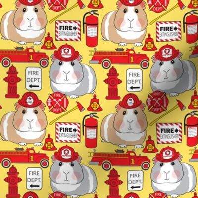 medium firemen guinea pigs on yellow