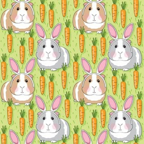 medium bunny guinea pigs with carrots on green