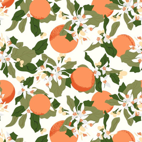 Oranges and Orange Blossoms White