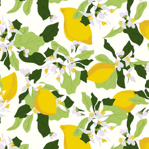 Lemon Blossoms and Lemons White