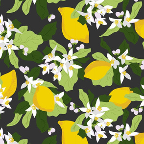 Lemon Blossoms and Lemons Dusty Black