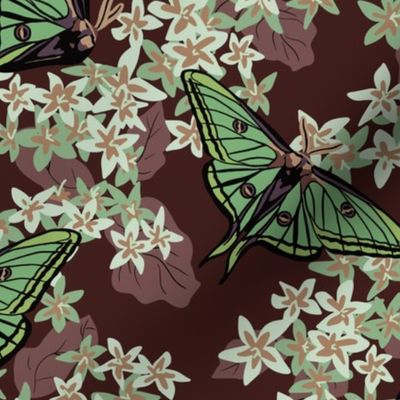 Luna Moth Brown and Green Floral