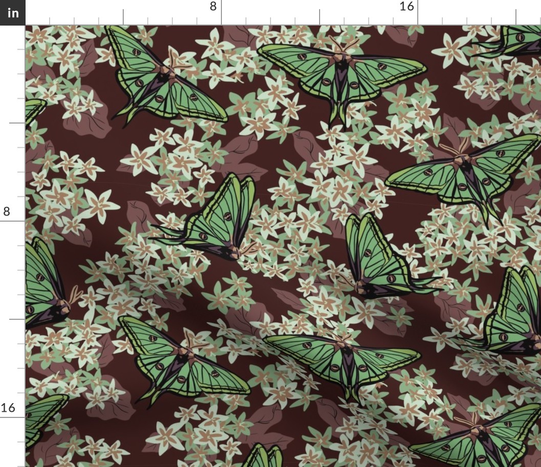 Luna Moth Brown and Green Floral