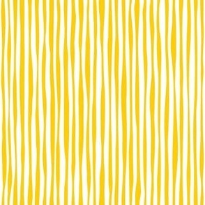 Yellow and Blue Irregular Stripe 2