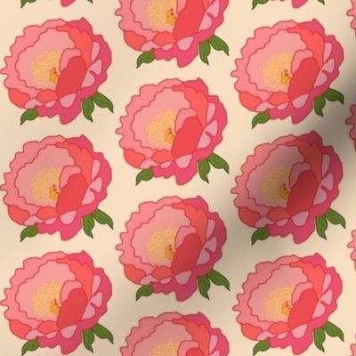 Coral Sunset Peony - cream, medium 