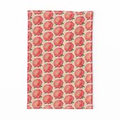 Coral Sunset Peony - cream, medium 