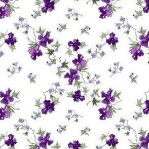 Royal Purple Flowers