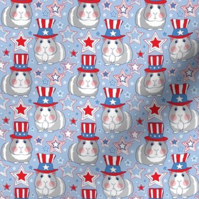 small americana guinea pigs and stars