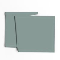 Solid Sage Green #859894