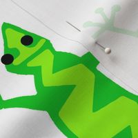 jumbo Gecko Frenzy-multi on white