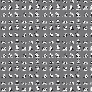 Panda Yoga_mid grey_4x4