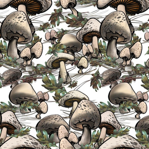 Mushrooms Tr