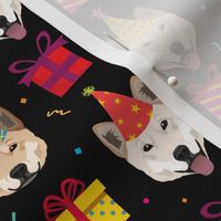 Party Jindo Dogs