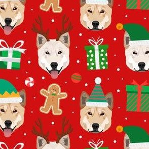 Christmas Jindo Dogs