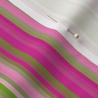 l_pink4_ripple_stripe_sat_image_ed_preview-ed