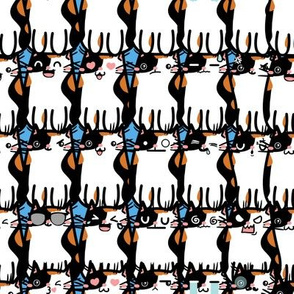 A lot of cats
