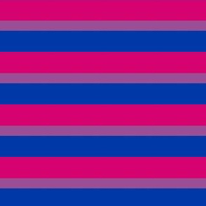 Bisexual Mini Horizontal Stripes