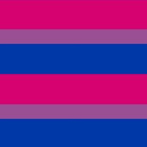 Bisexual Small Horizontal Stripes