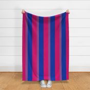 Bisexual Large Vertical Stripes