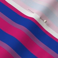 Bisexual Mini Vertical Stripes