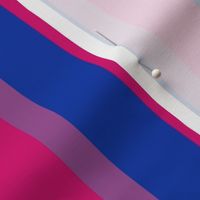 Bisexual Small Vertical Stripes 