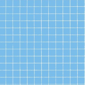 Water Blue Windowpane Grid 5/8"