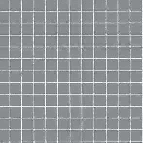 Grey Windowpane Grid  5/8"