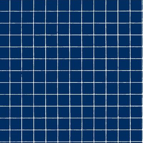 Prussian Blue Windowpane Grid 5/8"