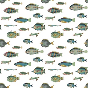 poissons, blue and green on white