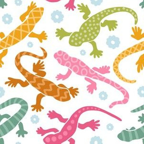 Colourful Lizard Collection 1/5