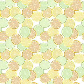 Citrus-Fruits_Large