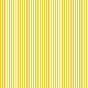 Yellow and Blue Pin Stripe 2