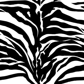 Zebra new pattern